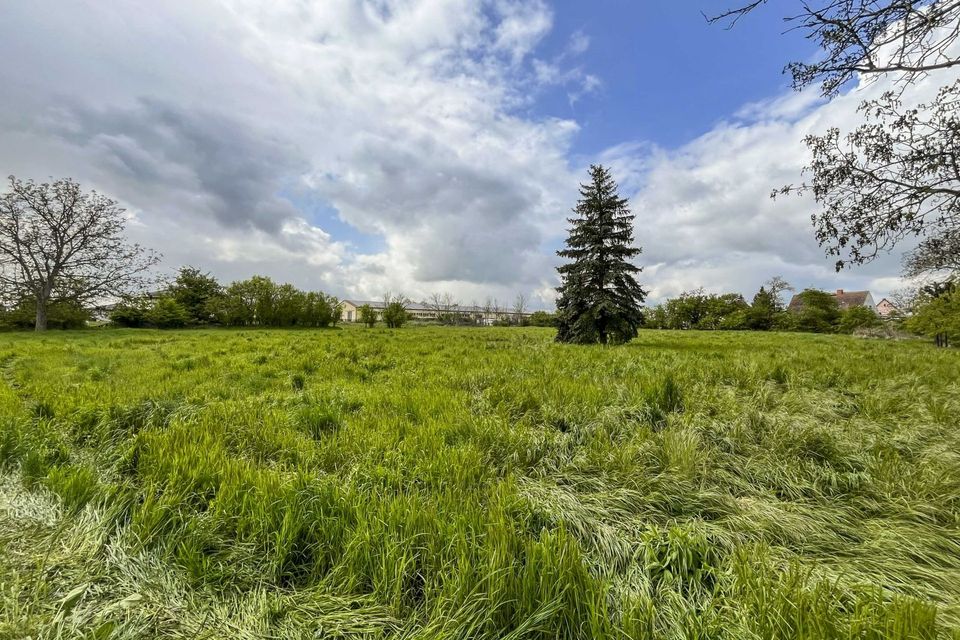 Wer Platz benötigt, ist hier richtig: Großes Einfamilienhaus mit Scheune und ca. 6.000 m² Grundstück in Zörbig