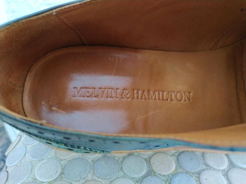 Hamilton  Damen   Schuhe in Dillingen (Saar)