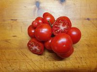 2,50€ - Florida Petit (Micro Dwarf), Tomatensamen, Balkontomate Sachsen - Pirna Vorschau