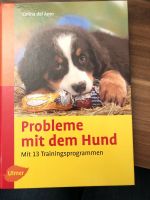 Probleme mit dem Hund Hamburg-Nord - Hamburg Fuhlsbüttel Vorschau