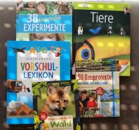 Kinderbücher Vorschule Experimente Tiere Rheinland-Pfalz - Maring-Noviand Vorschau