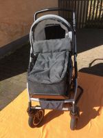 Kinderwagen 2 in 1 von Feder Sachsen - Crimmitschau Vorschau