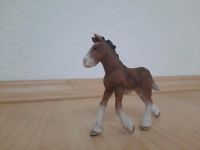 Schleich Pferd 13736 - Shire Fohlen Schleswig-Holstein - Tremsbüttel Vorschau