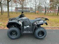 Kymco MXU 300 R T LOF Niedersachsen - Rhede Vorschau