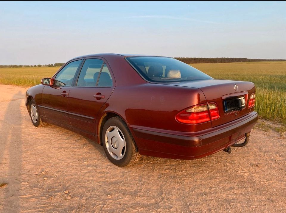 Mercedes W210 E200 CDI in Halberstadt