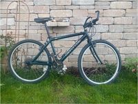 Cannondale Jugend/ Damen Mountainbike Rheinland-Pfalz - Urmitz Vorschau