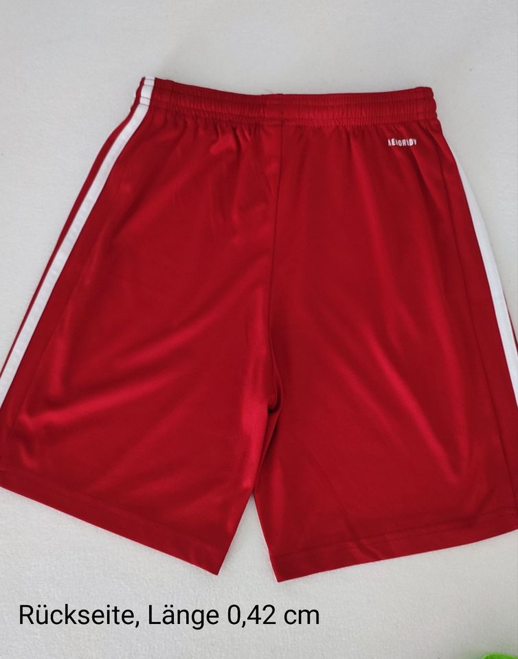 Adidas Shorts in Größe 164 gebraucht in Puderbach