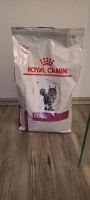 Katzenfutter Royal Canin renal 2,5kg Bayern - Röttingen Vorschau