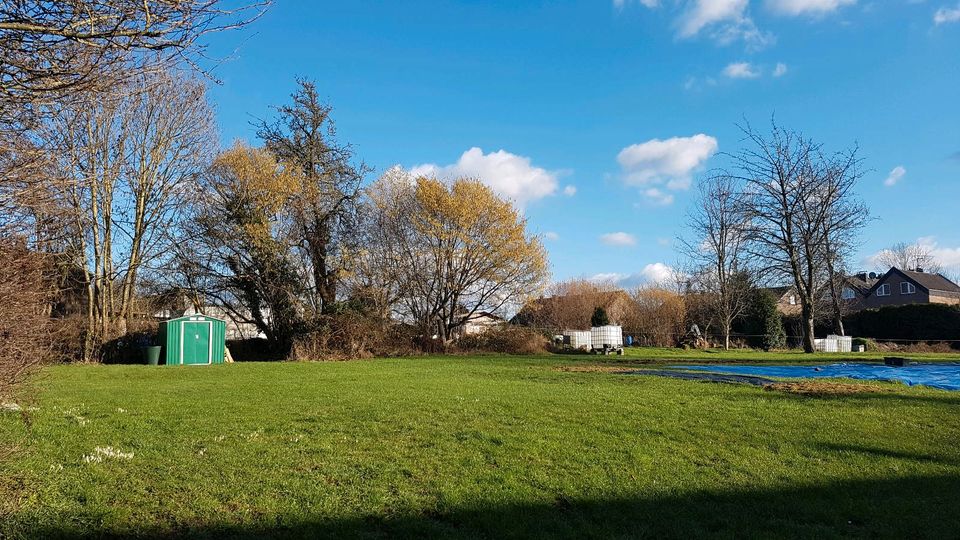 Garten oder Wiese zu verpachten in Eschweiler