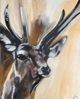 Bild in Acryl Hirsch 80x100 cm Deko Geschenk Jagd Schleswig-Holstein - Oering Vorschau