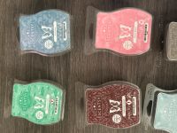 Scentsy Sammlungsauflösung Wachs Bars Duftbars Brandenburg - Brieselang Vorschau