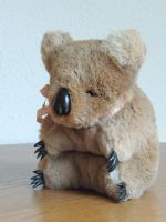 Koala aus Kängurufell ca. 22 cm Berlin - Biesdorf Vorschau