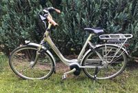 Gazelle Arroyo C7 E-Bike 250 Watt defekt Nordrhein-Westfalen - Neunkirchen-Seelscheid Vorschau