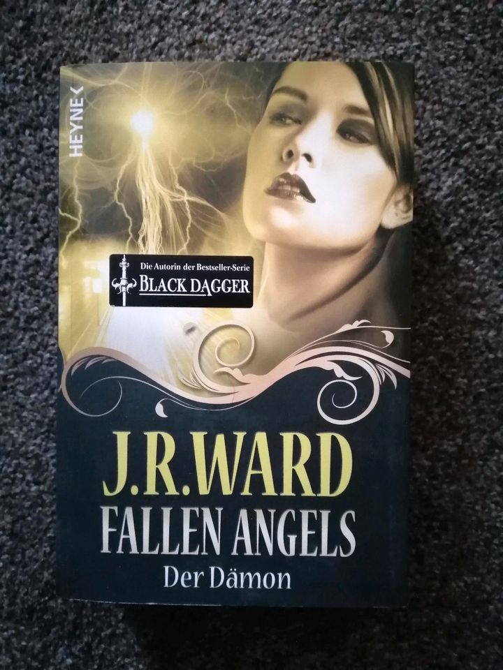 Fallen Angels - Der Dämon von J. R. Ward (2) in Grabow