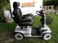 Elektro Scooter Comet 4-Rad 15 km/h silber Sachsen-Anhalt - Magdeburg Vorschau