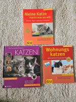 3 Bücher Katzen-Erziehung // Katzen Ratgeber Rheinland-Pfalz - Herschbach (Oberwesterwald) Vorschau