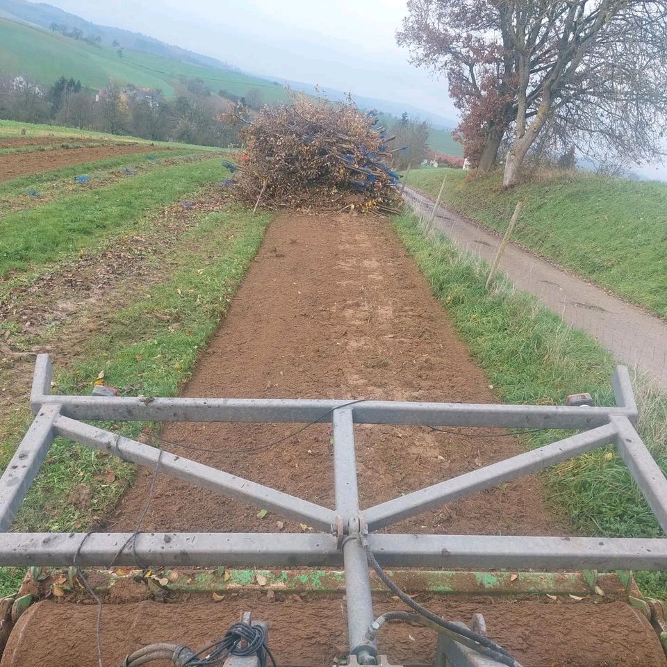 Forstmulcher Forstmulchen Forstfräsen Baufeldräumung Rodung in Mosbach