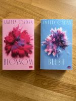 Blossom + Blush - Amelia Cadan Bayern - Nandlstadt Vorschau