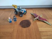 VOLLSTÄNDIG Lego Jurassic World 75926 - Pteranodon-Jagd - City Rheinland-Pfalz - Melsbach Vorschau