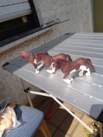 2 Schleich Clydesdale Stuten 13809 und 1 Wallach 13808 Rheinland-Pfalz - Gönnersdorf Vorschau