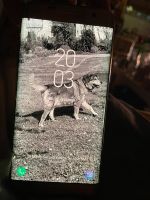 Samsung Galaxy S7 Edge Baden-Württemberg - Wyhl Vorschau