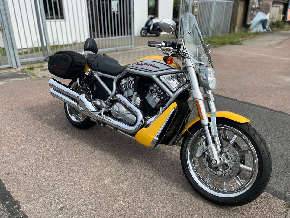 Harley Davidson VRSCR Street Rod in Lutherstadt Wittenberg