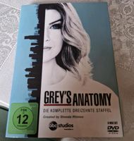 Grey's Anatomy Die komplette 13. Staffel Brandenburg - Ziesar Vorschau