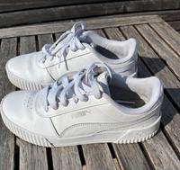 Puma Sneaker 38 Kr. Dachau - Markt Indersdorf Vorschau