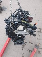 MOTOR 1.5blue HDI  10Q4DL YH03  CITROËN PEUGOT 3008 Nordrhein-Westfalen - Schloß Holte-Stukenbrock Vorschau