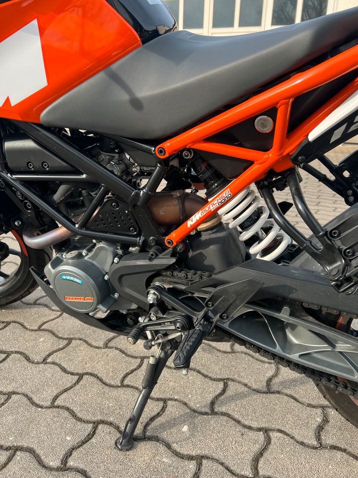 KTM Duke 125 Motorrad Naked Bike in Ingolstadt