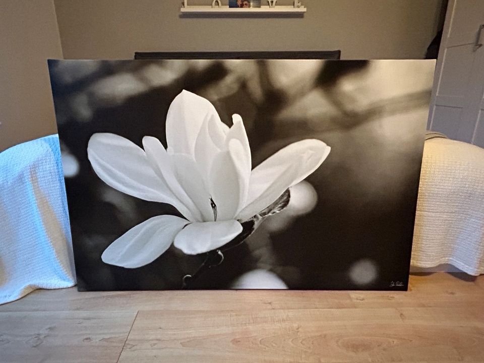 Ikea Blumenbild Pjätteryd Magnolie braun schwarz weiß in Borken