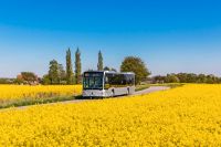 Busfahrer (m/w/d) Linienbusverkehr Schleswig-Holstein - Bad Segeberg Vorschau