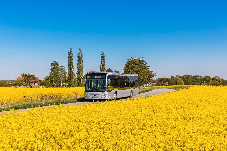 Busfahrer (m/w/d) Linienbusverkehr in Bad Segeberg