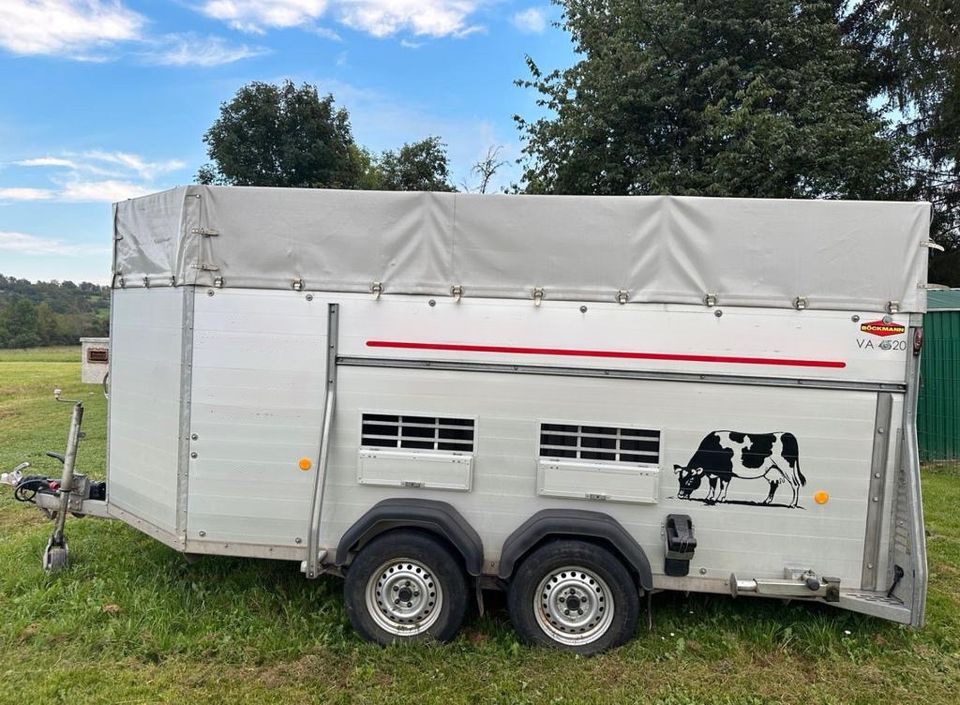 Viehanhänger Rindertransport Vieh Anhänger Transporter mieten in Hochspeyer