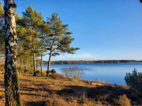 Ferienbungalow am Badesee Brandenburg - Lauchhammer Vorschau