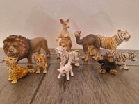 Schleich Zoo Safari Tiger, Löwe, Affe, Kamel, Leopard, Känguru Nordrhein-Westfalen - Erkrath Vorschau