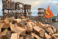 Brennholz - Buche - Kaminholz - Holz aus dem Deister Niedersachsen - Springe Vorschau