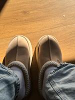 Ugg Tazz in beige 1 Mal getragen Hessen - Neu-Isenburg Vorschau