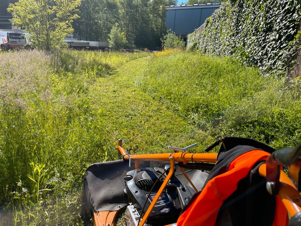 Sturmschaden Rasen mähen Grundstückpflege Baumfällung Hecken schn in Dillingen (Saar)