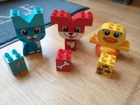 Lego Duplo 10858 Meine ersten Tiere Farben lernen Findorff - Findorff-Bürgerweide Vorschau