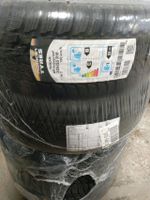 4 NEUE WINTER-REIFEN 205/55 R16 91T NOKIAN SNOWPROOF DOT 19 Sachsen - Frauenstein Vorschau