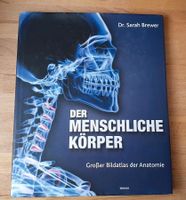 Bildatlas "Der menschliche Körper" Rheinland-Pfalz - Dernau Vorschau