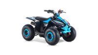 Access Mini X 110  Kinderquad / schwarz-ocean-blau Bayern - Landau a d Isar Vorschau