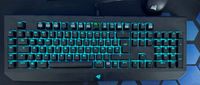 Razer Blackwidow Tastatur Rheinland-Pfalz - Wirges   Vorschau