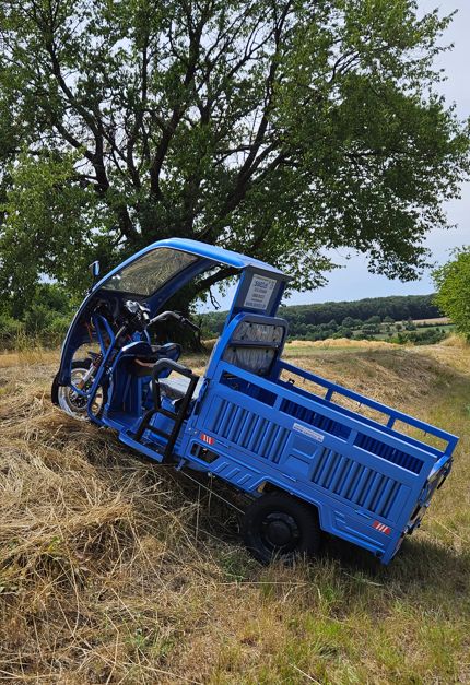 Cargo Runner "BIG", APEkiller,  PIAGGIOähnlich, Elektro Cargo, Lastenrad, Dreirad, elektrisch, Leichtkraftrad, Leichtmobil, kein TÜV, keine Steuern, Glücklichmacher in Mandelbachtal