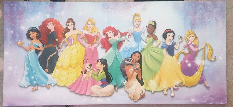Leinwand mit Disney Prinzessinnen in Salzkotten