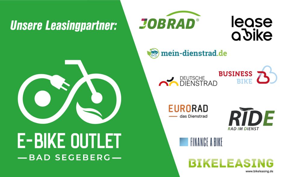 PANTHER Chamonix | Bosch Active Line | 1.999,- statt 2.799,- | Citybike | E-Bike | AKTION | Tiefeinstieg in Bad Segeberg