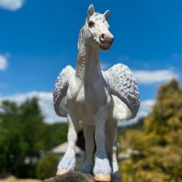 Schleich Pegasus Saarland - Beckingen Vorschau