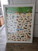 Poster Kinderzimmer 100 Tiere Niedersachsen - Lüneburg Vorschau