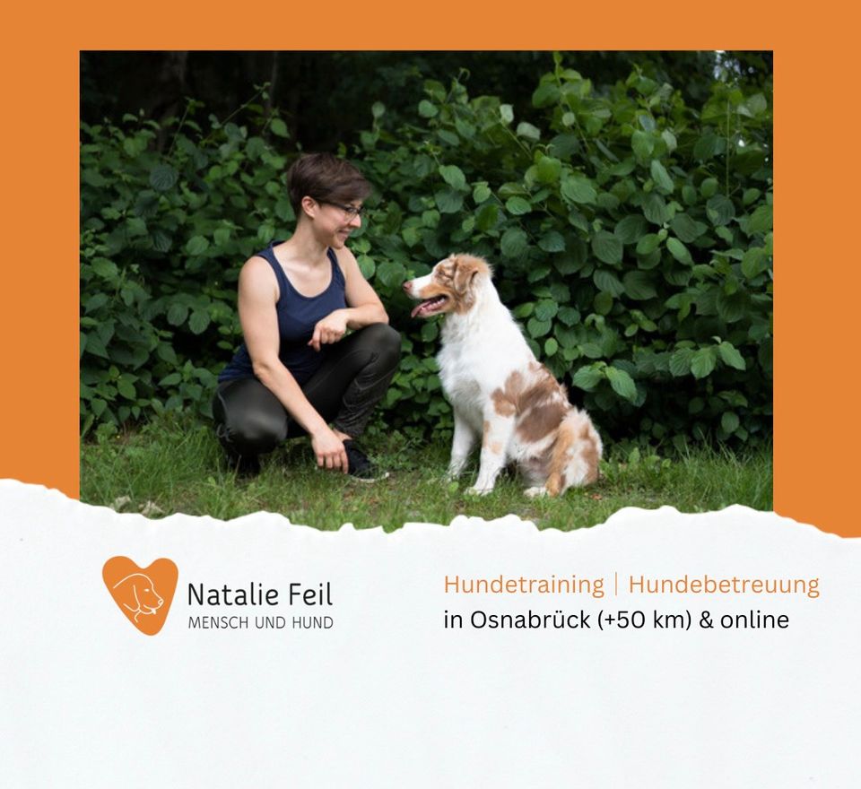 Hundetraining in Osnabrück | Online in Osnabrück